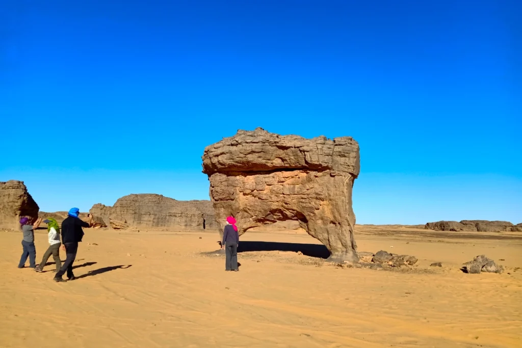 formation-champignon-tassili-hoggar-guide-tamanrasset-algerie